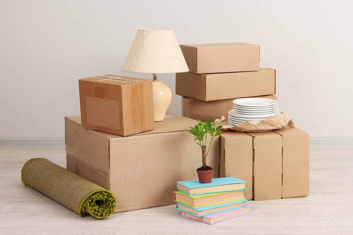 The Stress-Free Way to Move: Choosing the Right Removalist in Brisbane